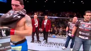 Full FIGHT VIDEO CHRIS WEIDMAN vs ANDERSON SILVA 2 28122013 [upl. by Emoreg]