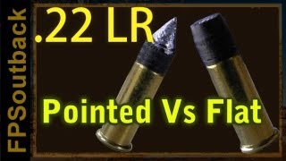 22LR  Pointed vs Flat Nose Bullets [upl. by Feltie]