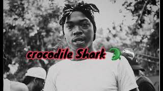 Skillibeng  Crocodile Shark Official Lyrics Video [upl. by Asalocin723]