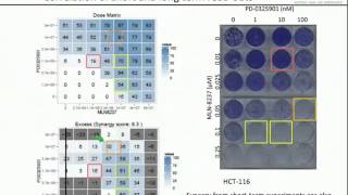 Webinar Drugdrug combinations made simple [upl. by Aivila652]