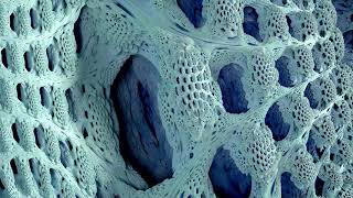 The Mandelbulb  3D Fractal Tour in 8k [upl. by Garrard]