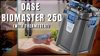 UNBOXING AND ASSEMBLING THE FILTER OASE BIOMASTER 250 FOR RAINBOWS TANK with thermostat [upl. by Aksoyn316]