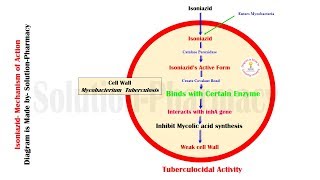 Antitubercular Drug  Mechanism of Action of Isoniazid  Isoniazid  MOA Animation of Isoniazid [upl. by Eiramnwad]