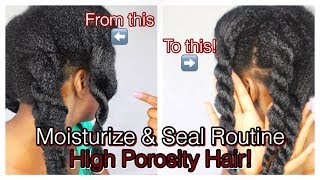 How to Moisturize amp Seal High Porosity Natural Hair  Simply Subrena [upl. by Nnyltiak]