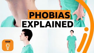 Where do phobias come from  BBC Ideas [upl. by Geraint675]